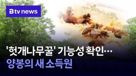 헛개나무꿀 기능성 확인…양봉의 새 소득원