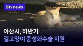 아산시, 하반기 길고양이 중성화수술 지원