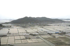 ‘제염’ 국가무형문화재로…“갯벌에서 소금 얻어요”