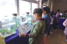 가납초 “소중한 민물고기 만났어요”