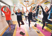 고양이랑 요가해요