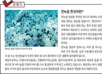 축구장 4000개 규모 바다숲 생긴다