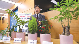 식물 3~5개면 초미세먼지 ‘뚝’