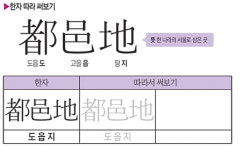 화려한 행렬