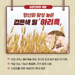 자급률 높이며 新농업혁명 이끌 주역!… 농촌진흥청이 전하는 신박한 농업이야기 ‘우리밀’