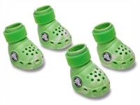 [어린이 트렌드 쳌!] 반려견과 커플 신발 신고 산책 어때요?