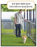 [현장출동! 이 직업] 이웅종 반려동물훈련사… 훈련, 돌봄, 상담까지! 보호자와 소통 능력도 중요해요