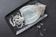 마켓컬리, 2021 대한민국 수산대전 사업자 선정... 믿고 먹는 컬리 수산 기획전 진행