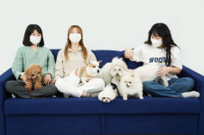 강아지대통령·고양이대통령 반려동물과 동반 출·퇴근… 복지혜택 지원