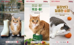 11번가, 유기묘 아이돌그룹 '11키티즈'와 유기동물 돕는 '2022 희망상품 스토어' 오픈