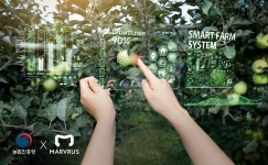 마블러스(MARVRUS) X 농촌진흥청, 메타버스 스마트팜 개발 프로젝트 진행 中