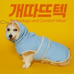 엔젤도그, 개따뜨텍 강아지 발열패딩 재입고&유통