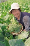 여주 늘봄농장, ABC주스 생산∙유통