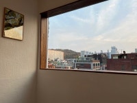 로카101, 코리빙 픽셀하우스 론칭