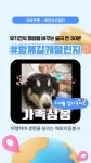 GS리테일 어바웃펫, 레인보우쉼터와 함께 유기견 해외입양 돕는다