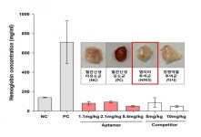 혁신 신약 개발에 한걸음 다가간 결과…㈜에이치피바이오, 전임상 동물시험에서 혈관신생 억제효능 확인