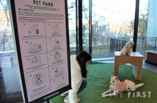 반려동물 동반출입 공간 대폭 확대... 스타벅스, 더북한강R점 리뉴얼 오픈