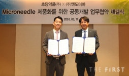 초당약품, 엔도더마와 마이크로니들 패치 의약품 본격 개발 착수