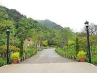 5월의 정원, 네 번째 이야기