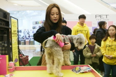 펫티저 하남 스타필드 몰리스펫샵 입점 기념 이벤트 진행