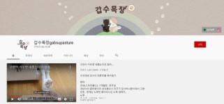 갑수목장 동물학대 논란, 진실은?