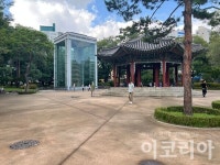 [현장] 조용해진 탑골공원, 노인의 삶도 사라졌다