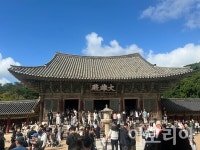 [현장] APEC 앞두고 새단장한 경주, 활기 넘치다