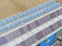 에너지기술硏, 태양열 활용해 아열대 과일 첫 수확