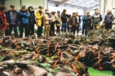 우리바다여행_충남 서천