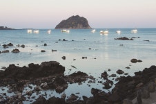 [수협 현장] 다가오는 휴가 우리 수산물과 함께 즐기세요