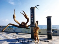 왕이 사랑한 대게 맛보러 거일마을로 떠나요