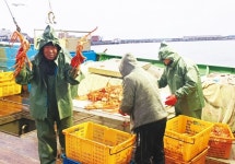 왕이 사랑한 대게 맛보러 거일마을로 떠나요