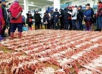 왕이 사랑한 대게 맛보러 거일마을로 떠나요