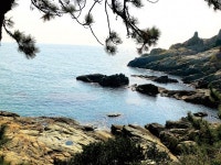 부산 바다