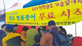 완도 명품 광어 역시, 최고예요