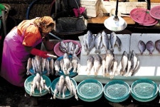 포토에세이