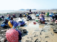 귀어인 적극 받아 활력 넘치는 어촌계 탈바꿈