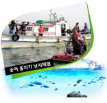 충남 태안 대야도 어촌체험마을