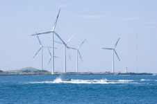 수협, 해상풍력, 되는 것도 안되는 것도 없다