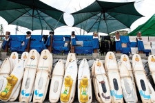 뻘배타고 짱뚱어 잡아봐요~ 순천 거차어촌체험마을