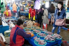 동해 중부 어업 중심지 주문진항