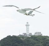 포토에세이