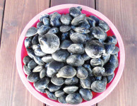 신선이 노니는 청정자연 신시도어촌체험마을