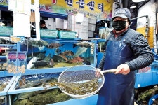 활어 시장 집중 판매액 증대 자신