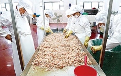 토굴에서 100일간 숙성 풍미 가득한 새우젓