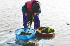 초록이 동색이라 구분이 쉽지 않네