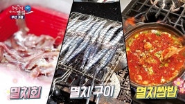 수협 SNS 채널