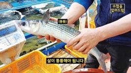 넓은 매장 쾌적한 환경 수산물 구입은 강서수산시장