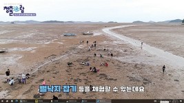 세계 5대 청정 갯벌 가로림만을 품은 서산 중리어촌체험마을