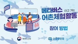 메타버스에서 즐기는 어촌체험 시작됐다